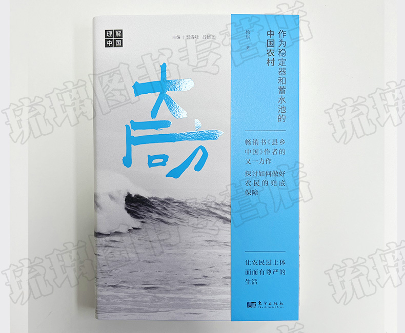 [正版]大后方:作为稳定器和蓄水池的中国农村 县乡中国作者杨华又一力作 三农问题 乡村振兴 如何做好农民的兜底保障 东高清大图