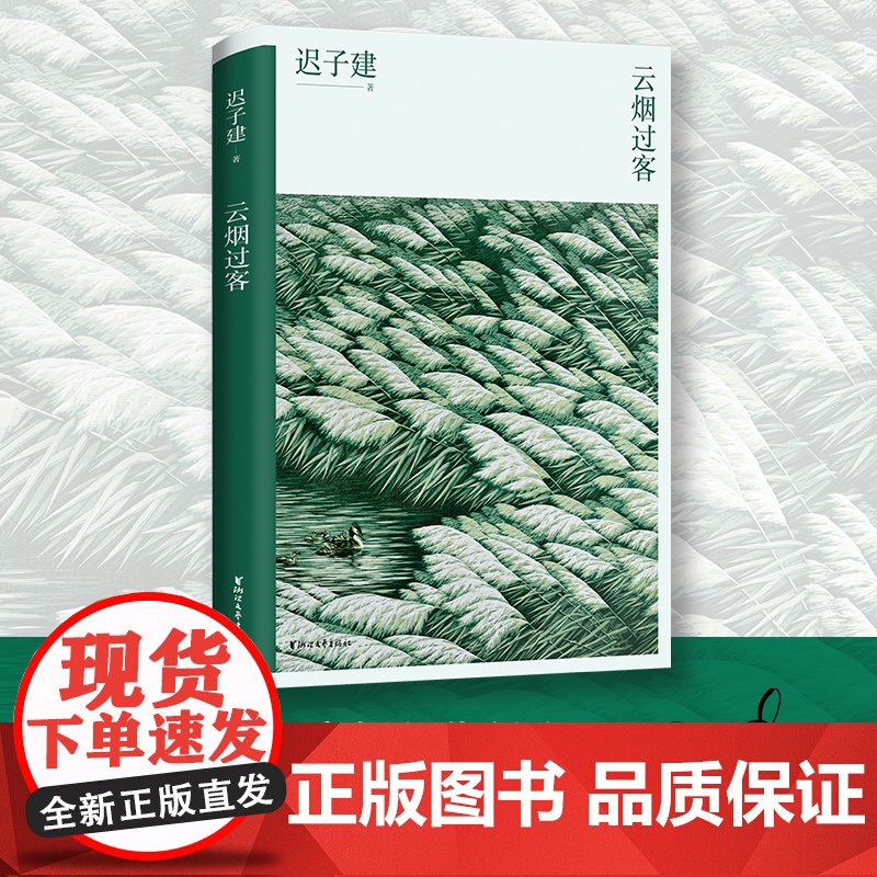 云烟过客 迟子建散文系列 新版 中国现当代随笔传记名家经典散文集作品选集 青少年课外阅读精选文学书籍 正版书籍高清大图