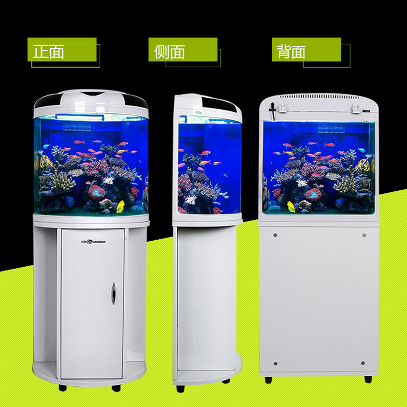 闽江半圆形鱼缸玻璃生态水族箱客厅家用小型圆柱金鱼缸大中型懒人高清大图