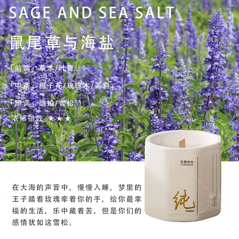 臻远 ZY-ZGTT-34 香薰蜡烛 鼠尾草与海盐60g高清大图