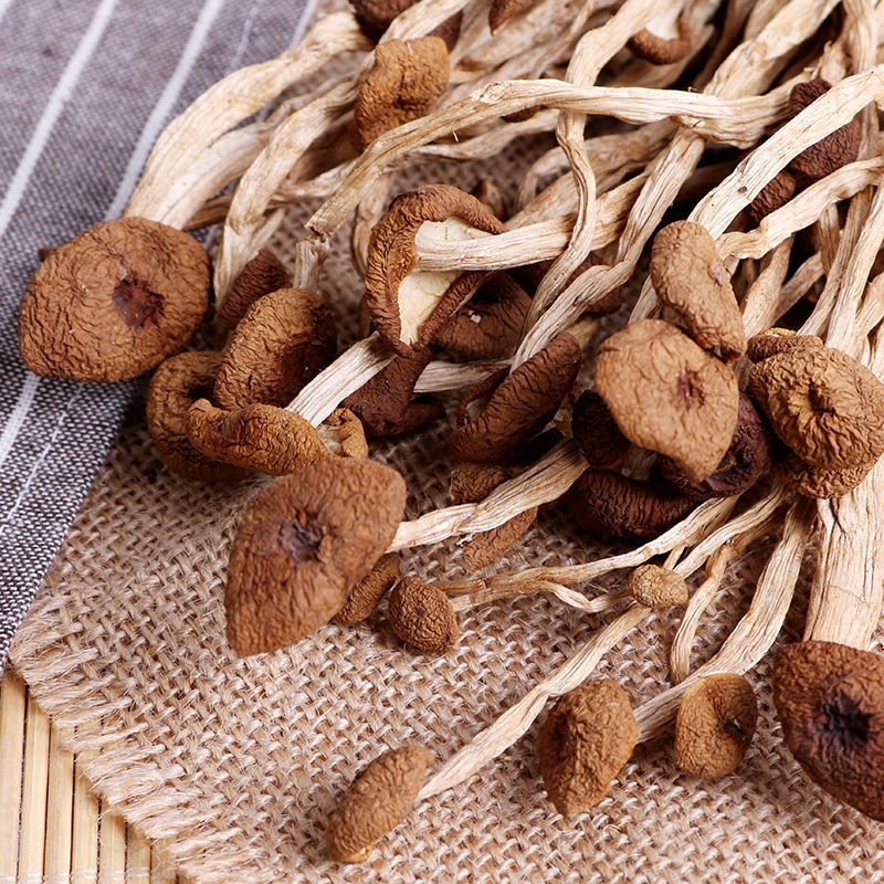 茶树菇不开伞农家特极干货新货香菇菌包煲汤佳品视频