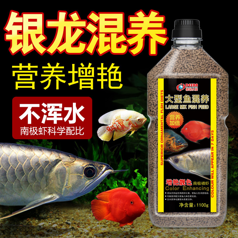 大型鱼混养饲料银龙鱼饲料鱼食地图鱼血鹦鹉鱼发财鱼战船鱼鱼高清大图