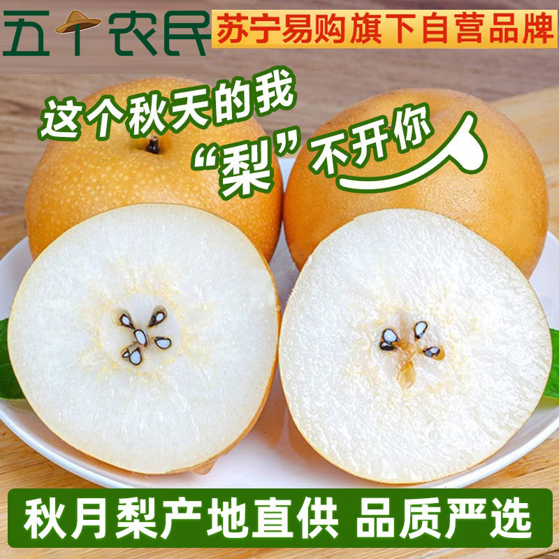 [五个农民]山东莱阳秋月梨精品礼盒装 6枚特大果4.5-5斤装 当季新鲜水果梨子年货礼盒