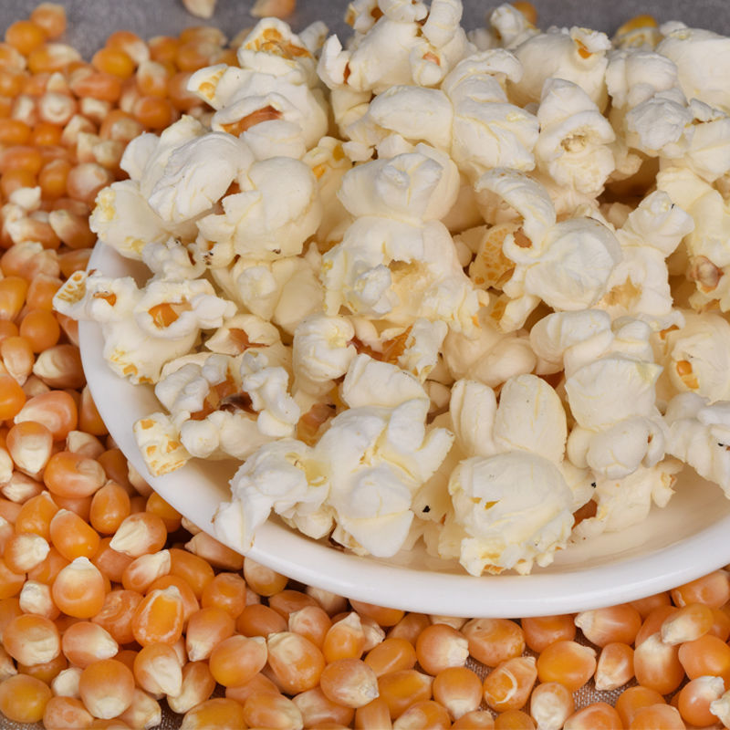 球形蝶形爆裂小玉米粒爆米花专用爆米花玉米粒家庭商用批发 蝶形1斤