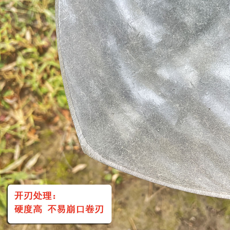 尖头锹2#高清大图