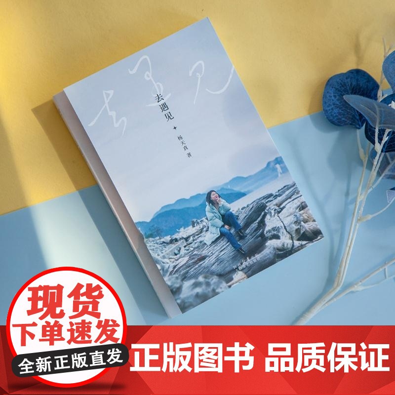 去遇见 杨天真 给迷茫打工人的智慧锦囊 重获生活主动权 找到人生松弛感 搞钱女孩 女性励志 果麦文化高清大图