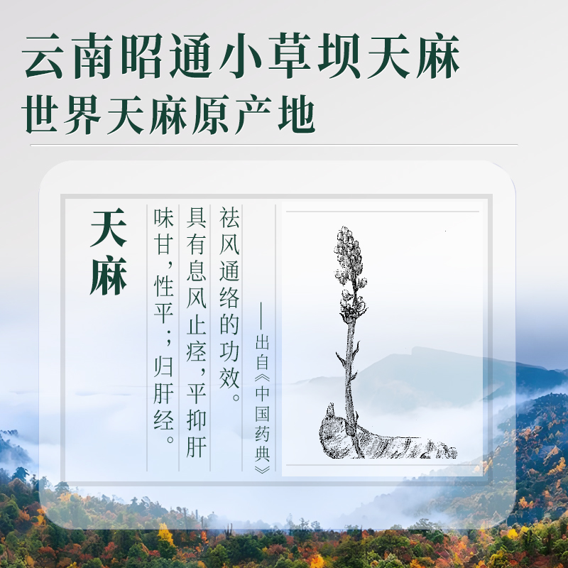 金龙碾 天麻原浆(植物饮品)10ml*30瓶高清大图
