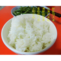清依食2020江苏新大米粳米 射阳大米5kg 华东