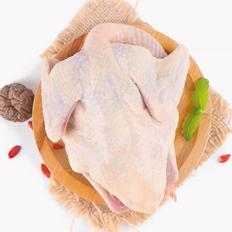 鸽子肉新鲜鸽鲜嫩鸽子土鸽子农家养活体现杀3只装视频