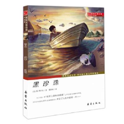 11大奖小说·升级版——黑珍珠978753075068122