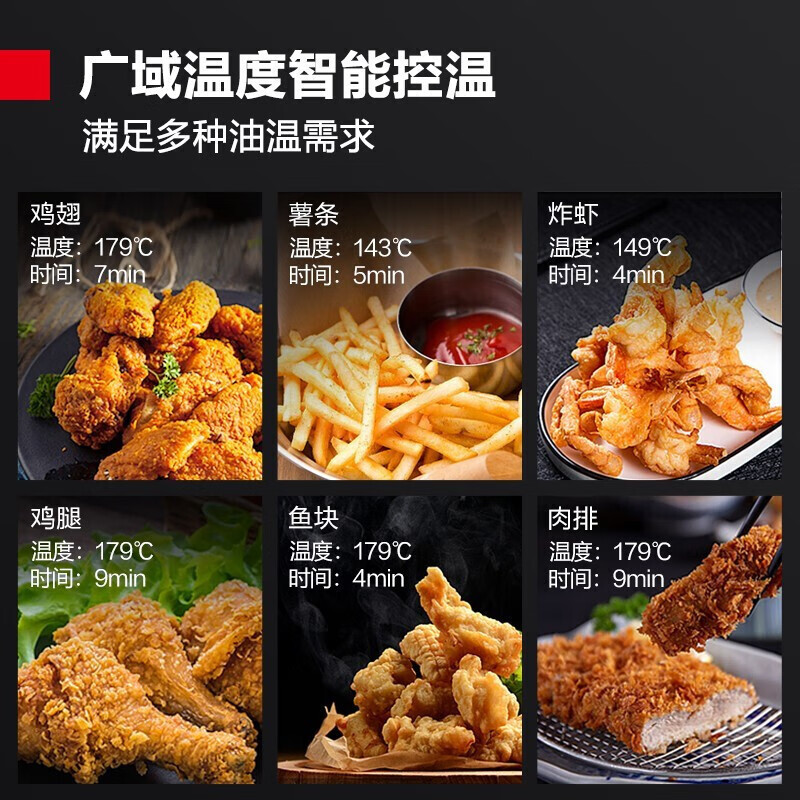 德玛仕 L-171P 电炸炉电子控温 4个记忆菜单油炸锅家用炸鸡薯条油条炸串 单缸17L高清大图