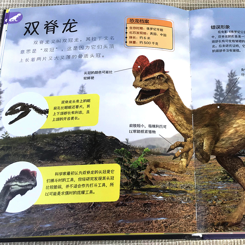 单本全册 [正版]恐龙那些重要的事 精装大开本彩绘版恐龙百科全书