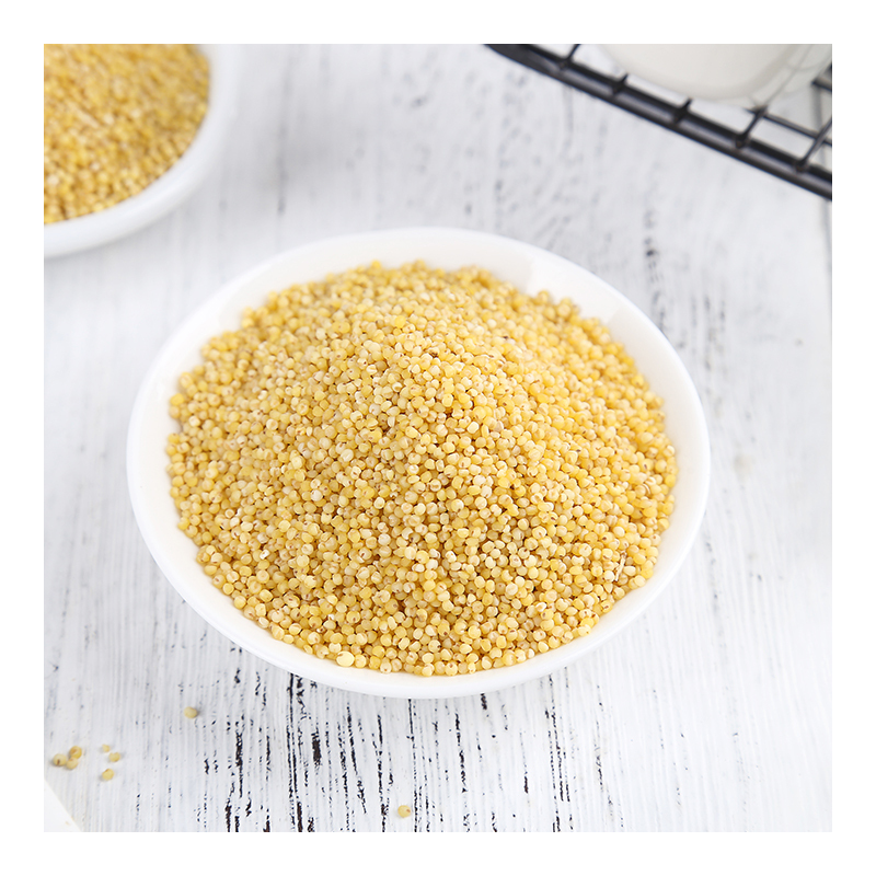 姚朵朵小黄米盒装真空东北五谷杂粮粗粮黄小米谷子米400g