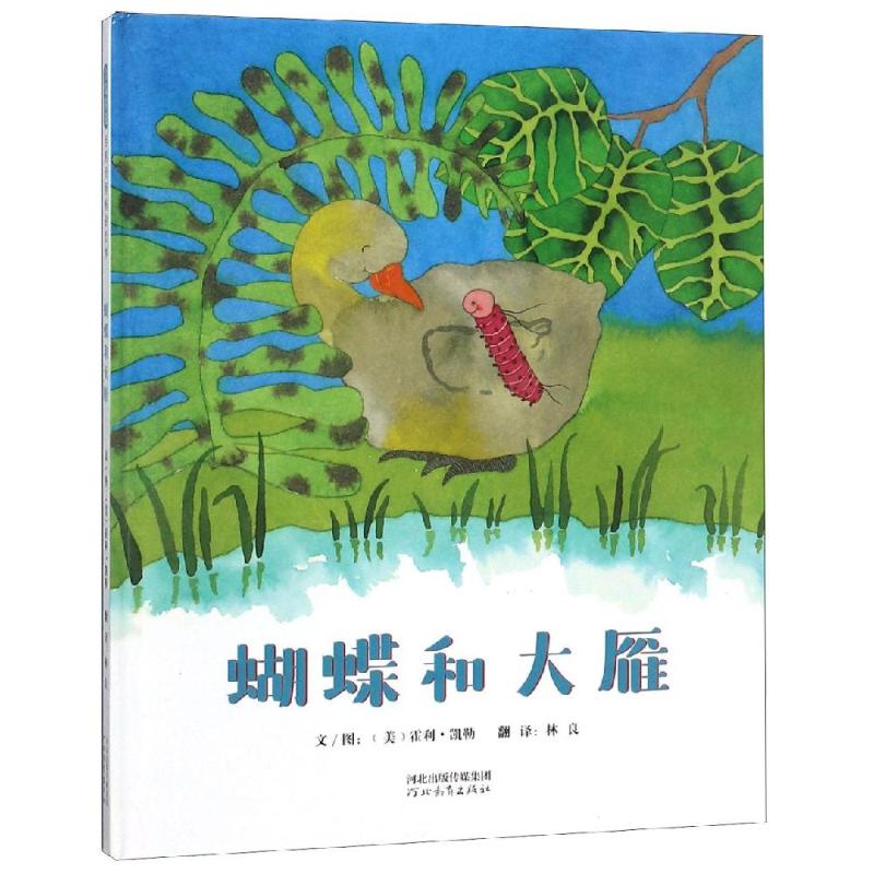 蝴蝶和大雁