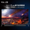 TCL 98英寸电视 98X9C（普通挂架安装或者底座安装）