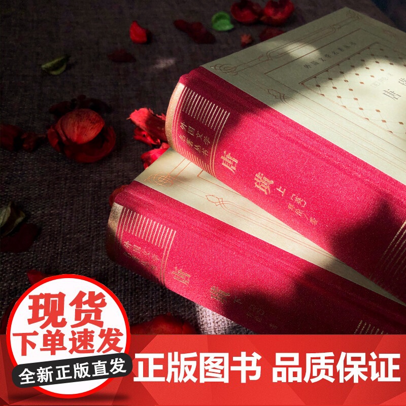 唐璜 上下 乔治·戈登·拜伦 著 小说高清大图