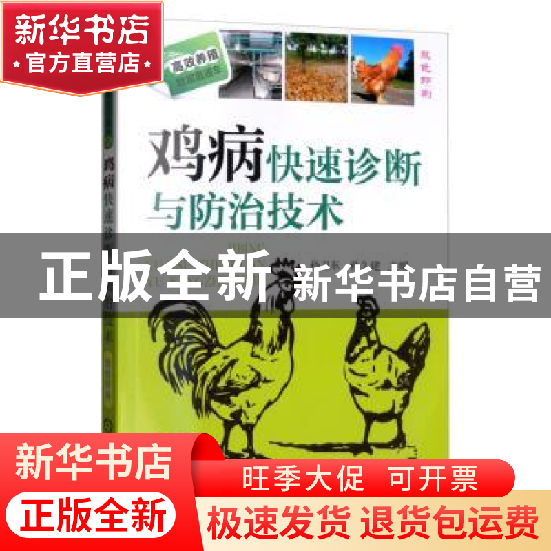 正版 鸡病快速诊断与防治技术(双色印刷) 孙卫东,孙久建 机械工业高清大图
