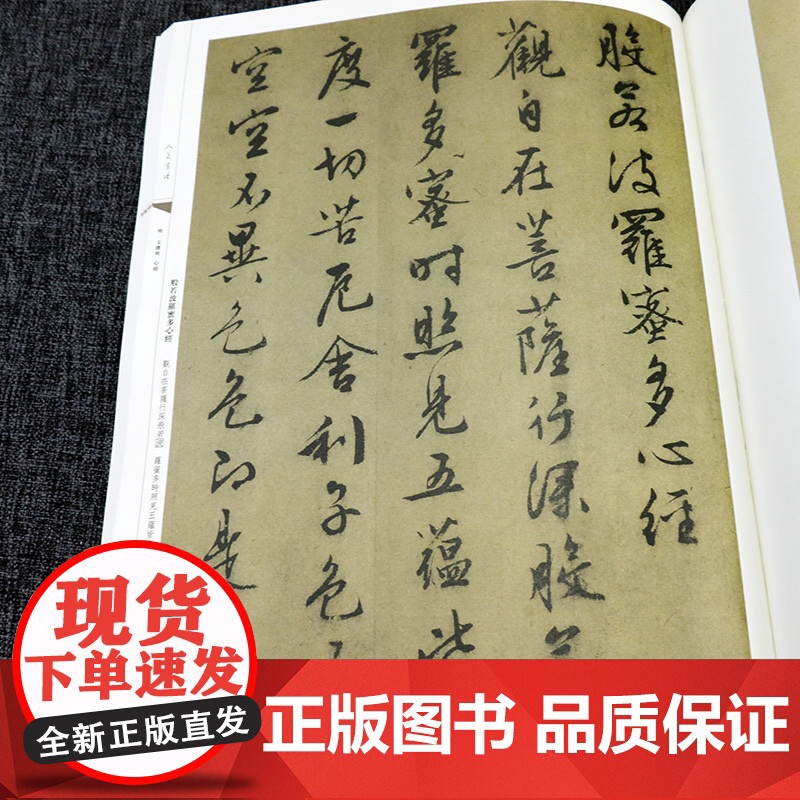 人美书谱宇卷 行书·明·文徵明 醉翁亭记 心经 陋室铭 孙晓云著书籍高清大图