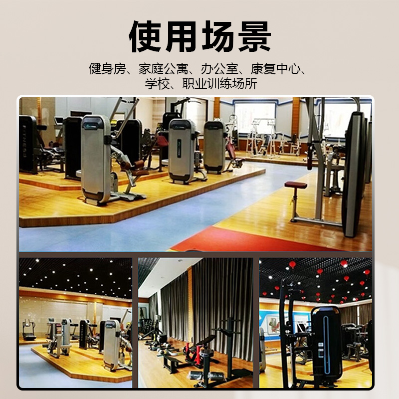 晟渊 动感单车室内家用磁控健身车静音运动自行车YP2133高清大图