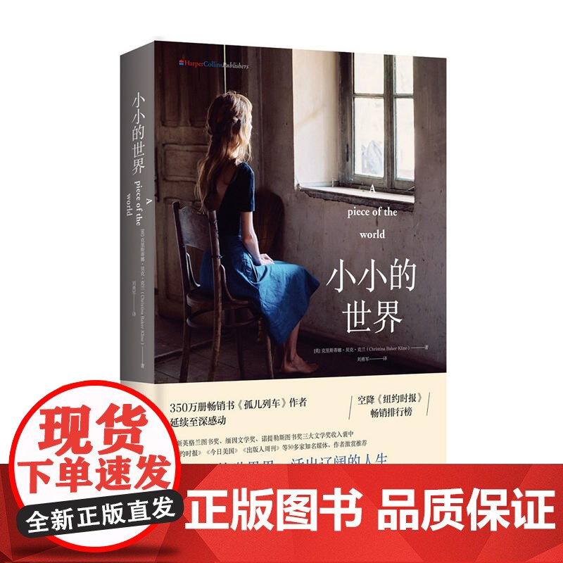 小小的世界 克里斯蒂娜·贝克·克兰 湖南文艺出版社 正版书籍高清大图