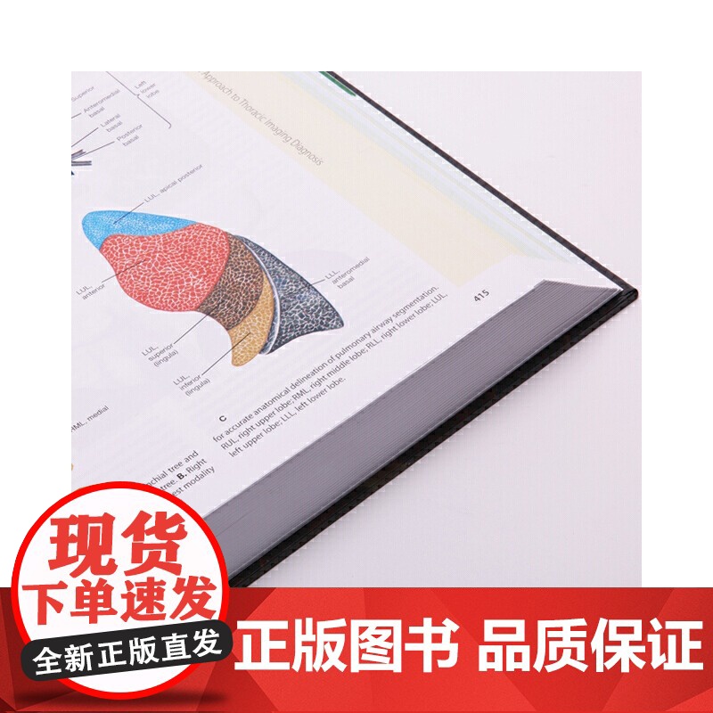 [央视网]Fishman肺部疾病第5版英文版 呼吸医学中的翘楚之作 是呼吸科临床医生 实习生 肺部疾病研究人员必不可少的高清大图