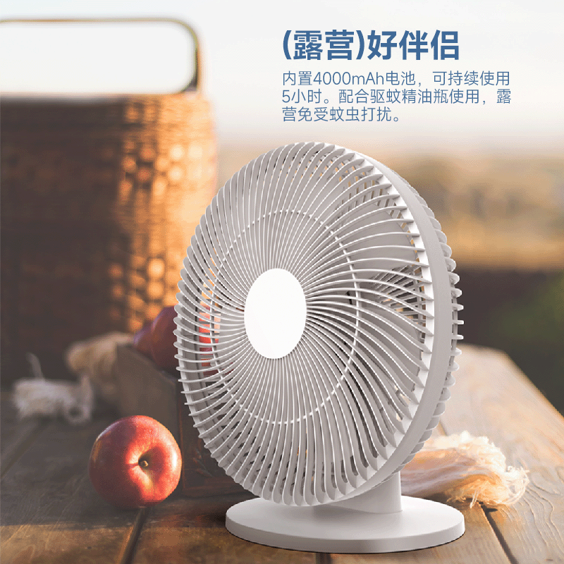海路世(Heallux)充电小风扇台式电风扇AF06B高清大图