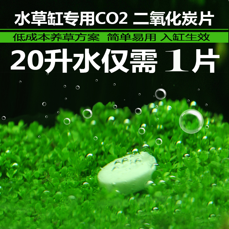 片鱼缸造景水鱼缸二氧化碳片溶水型鱼缸装饰水造景高清大图