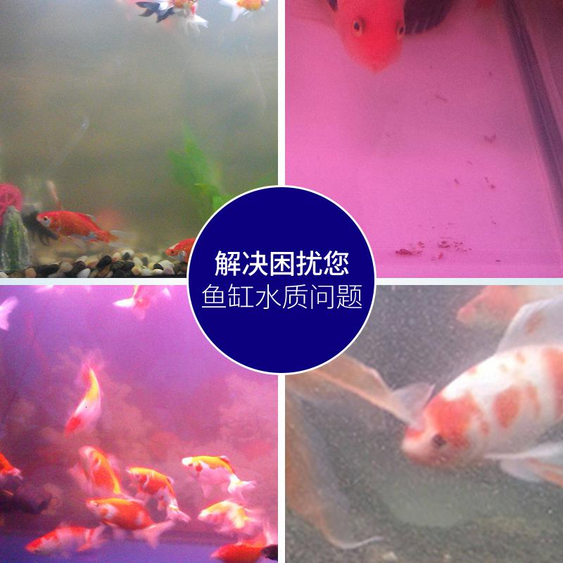 硝化细菌软化水质鱼缸空气缸净水淡水系统去水澄清高清大图