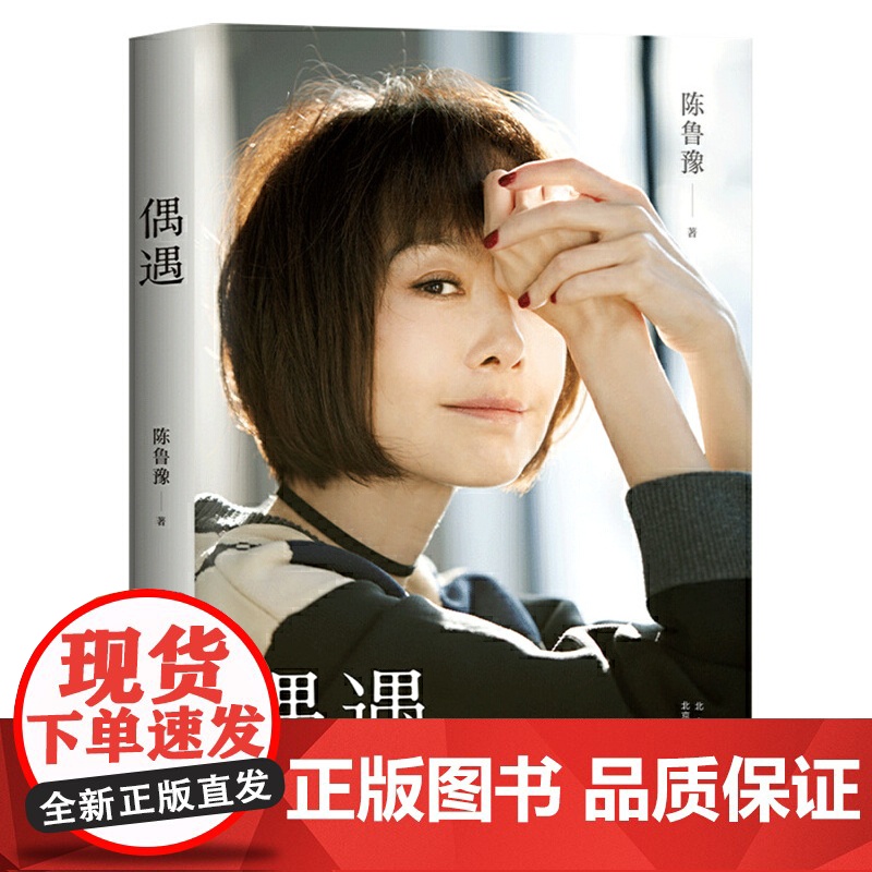 [ 正版书籍]偶遇 知名主持人陈鲁豫继心相约十五年后的归来之作 感动数十万人的深夜回信