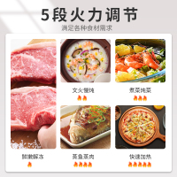 格兰仕(Galanz) 微波炉 光波炉 家用光波烧烤 700W20L 平板加热 五档火力经典侧拉门DG(B0)