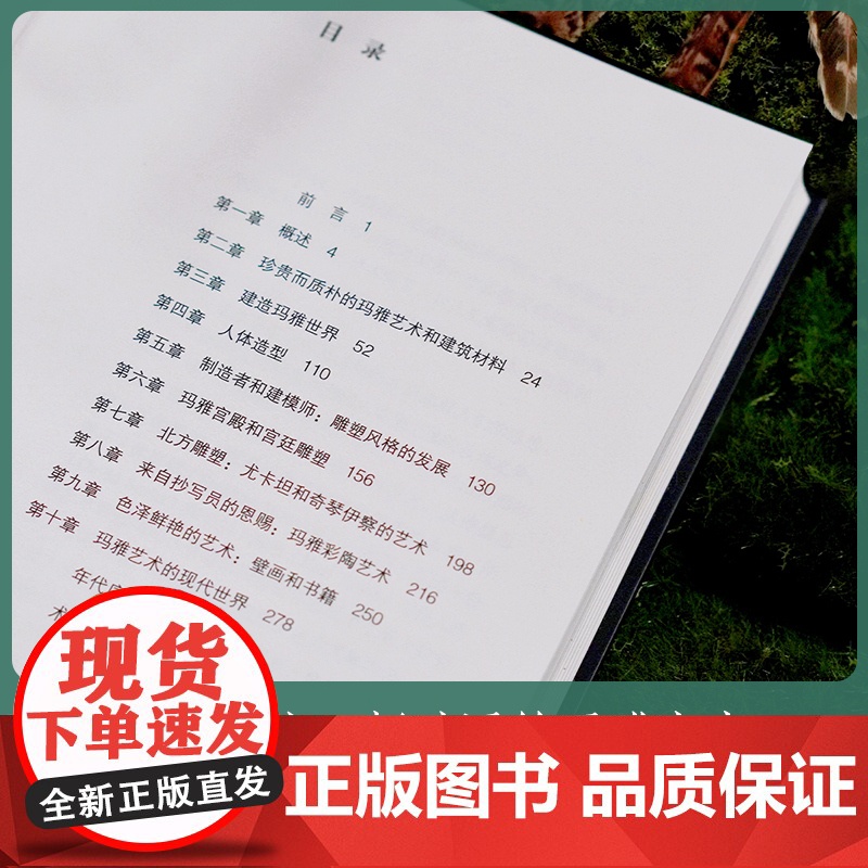 创世玛雅 神庙里的艺术密码 江苏凤凰美术出版社 MS高清大图