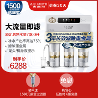 AO史密斯(A.O.Smith)厨下式家用直饮净水器R600ENA1 3:1废水比 1.5升大流量净水机