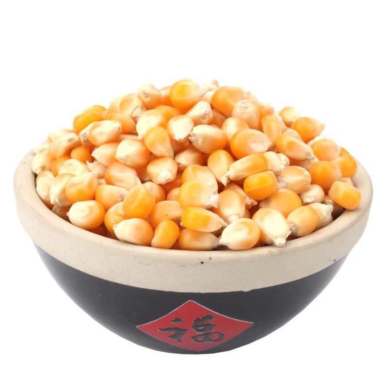 2斤球形+黄油500g 爆米花粒 小玉米粒 自制爆米花 玉米粒原料 爆米花玉米
