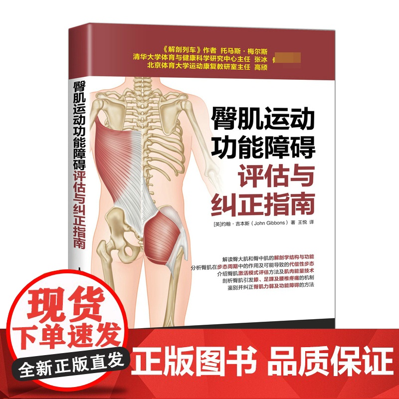 臀肌运动功能障碍评估与纠正指南 健身教练书籍培训教材教程 运动解剖学运动训练学 运动康复书籍肌筋膜松解术 康复训练指导书高清大图