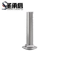 圣承启 螺丝钉 M10*70 个