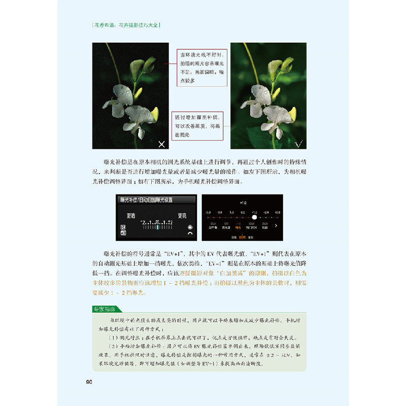 醉染图书花香四溢:花卉摄影技巧大全9787127105高清大图