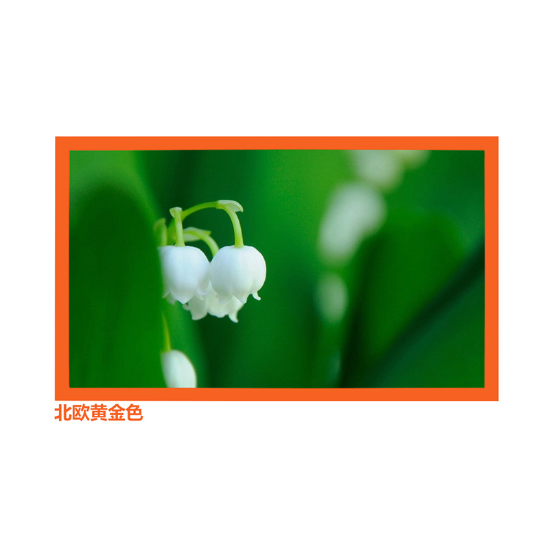 经科JK画框投影幕布小边框H3-AT/W2编织透声幕白幕126寸16:9高清大图