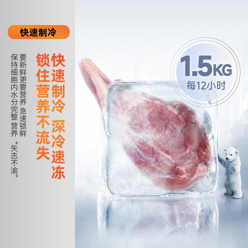 上菱 181升双门冰箱 低温补偿 节能低音 持久锁冷保鲜 冷藏冷冻小型家用两门电冰箱 BBM181L(铂银)高清大图