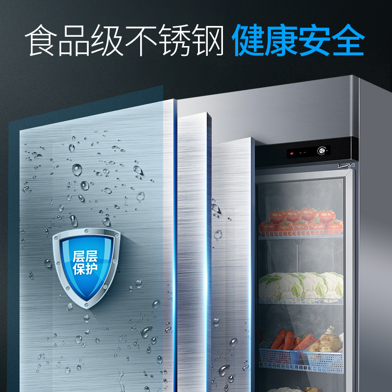 星星(XINGX)厨房冰箱商用双门展示柜全冷藏冰柜商用立式不锈钢餐饮店后厨BC-650E