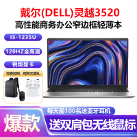 戴尔(DELL)灵越3520 15.6英寸高性能全面屏轻薄本网课商务办公笔记本电脑(12代i5-1235U 8G 1TB+512GB固态 锐炬显卡)银色 定制版