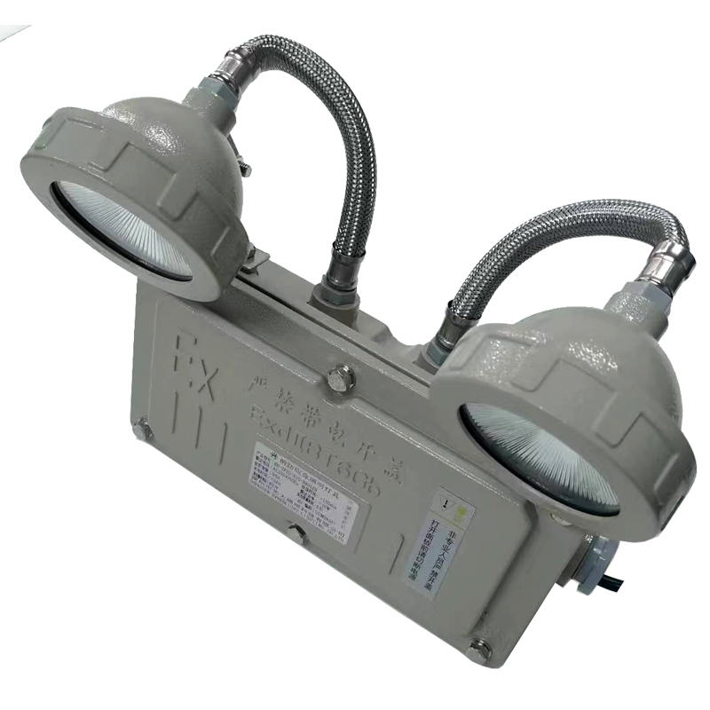 光大EB-ZFZD-E10-BAJ52B LED AC220V/50Hz 10W 消防应急照明灯具 (计价单位：套）银色高清大图
