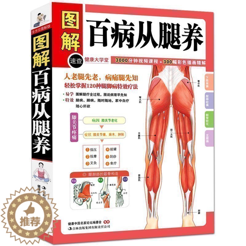 【醉染正版】图解百病从腿养 中医理疗养生保健书 家庭医学书 疾病预防和治疗 中医学外科学经典120种腿脚病的te效疗法
