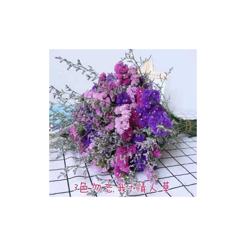 云南勿忘我干花花束买一斤送一斤满天星干花客厅摆件花束真花|紫玫粉白+草 30支含圆蓝