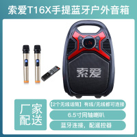 索爱蓝牙音箱广场舞音响手提音箱户外便携式K歌小型大功率叫卖家用地摊喊话收款码播放器T16X[带2个无线话筒]