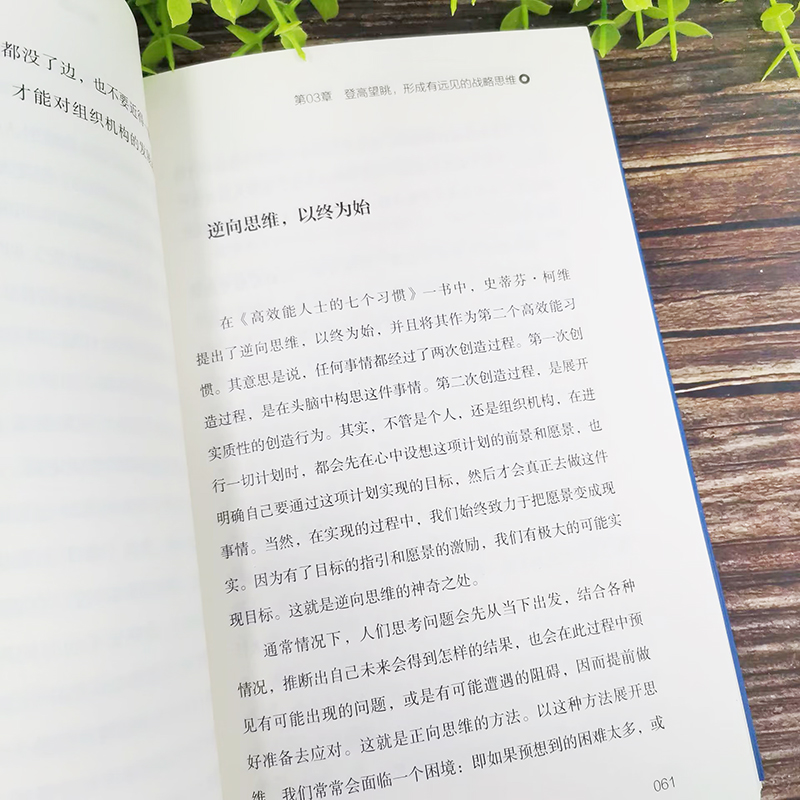 [正版] 战略思维 吴大有编著 改变思维 转化战略 看清未来 把握机会 提升自己的洞察力 解读8种战略之道 心理学与脑高清大图