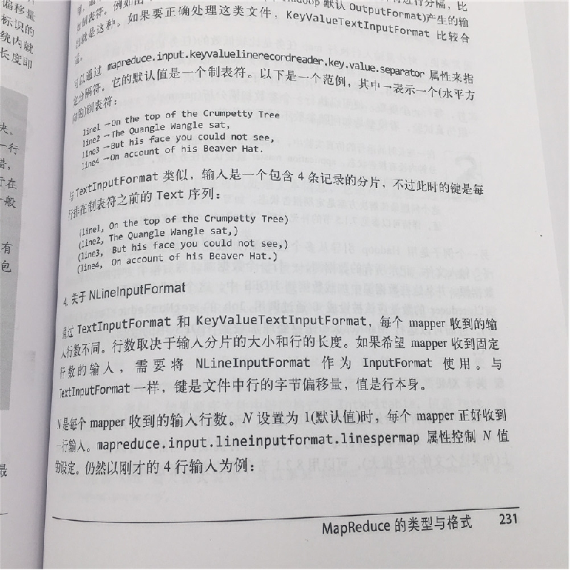 正版新书]Hadoop权威指南Tom White著 王海,华东,刘喻,吕粤海高清大图