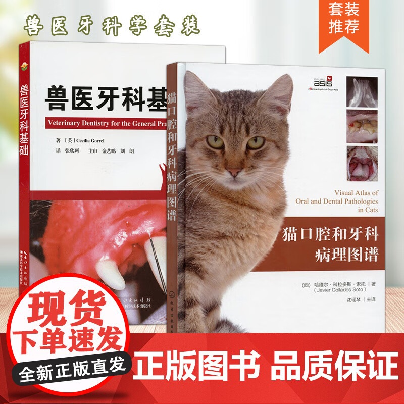 套装 2本 猫口腔和牙科病理图谱 兽医牙科基础 9787122381576 9787570603534高清大图