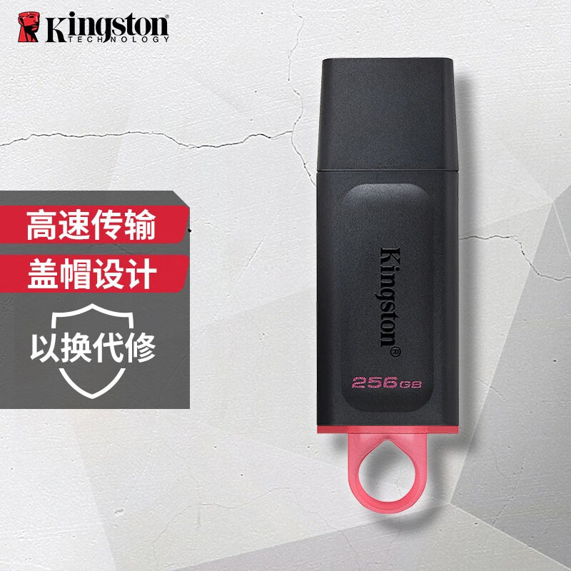 金士顿(Kingston) u盘 USB3.2 Gen 1 DTX高速车载闪存优盘 DTX -256GB