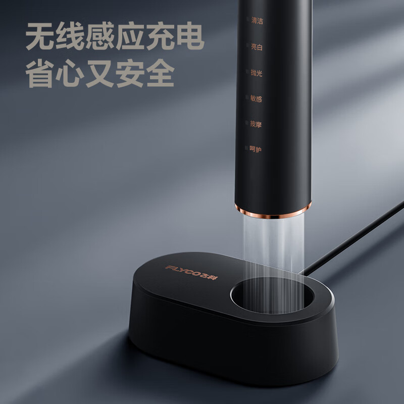 飞科(FLYCO)电动牙刷成人软毛充电式 成人学生 情侣款生日礼物送男女友FT7205 炫酷黑