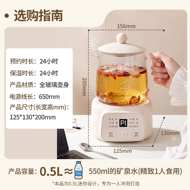 志高CHIGO养生壶玻璃电陶加热400W小巧轻音多功能炖煮烧水壶BG-YSB202